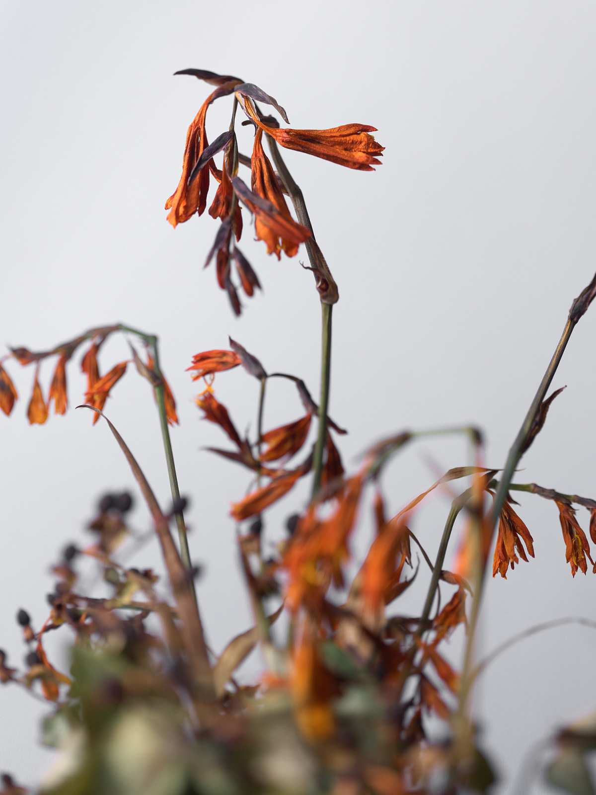 10-10-01970 Originele foto