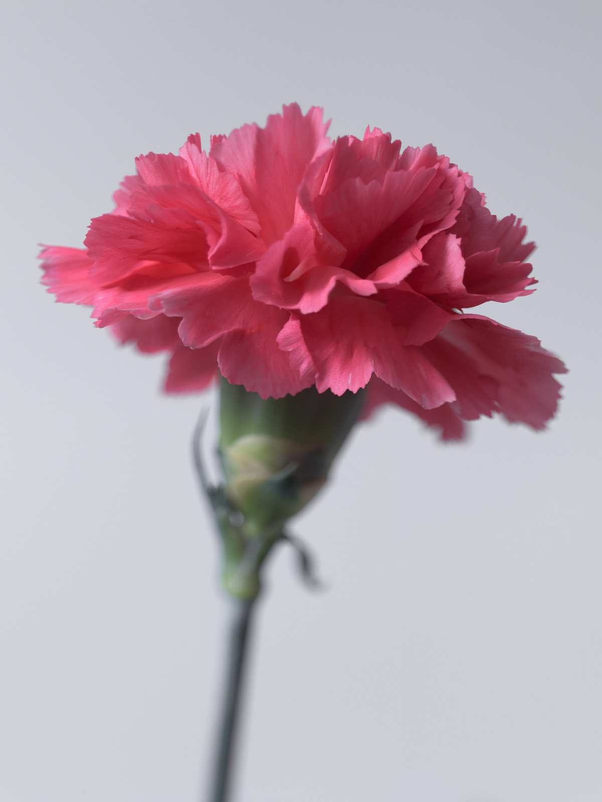 3-13-01245 Originele foto