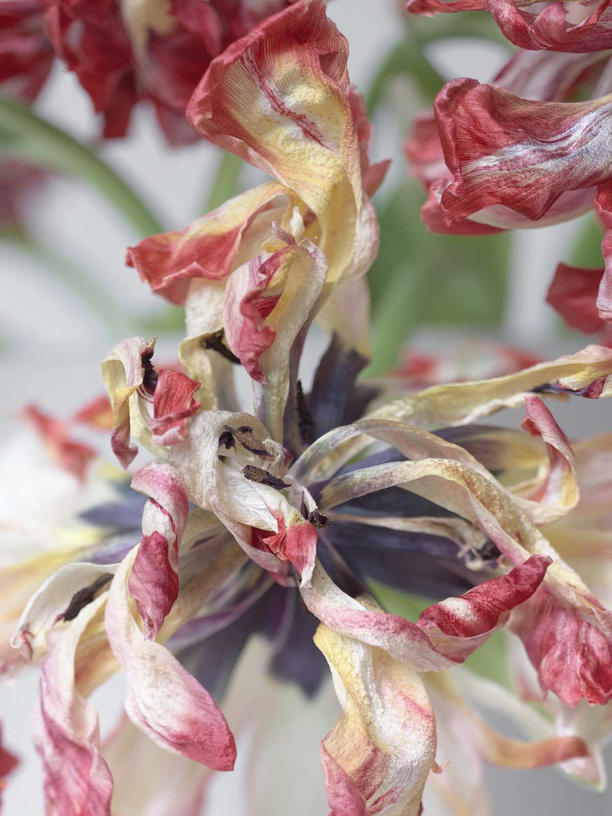 3-29-01269 Originele foto