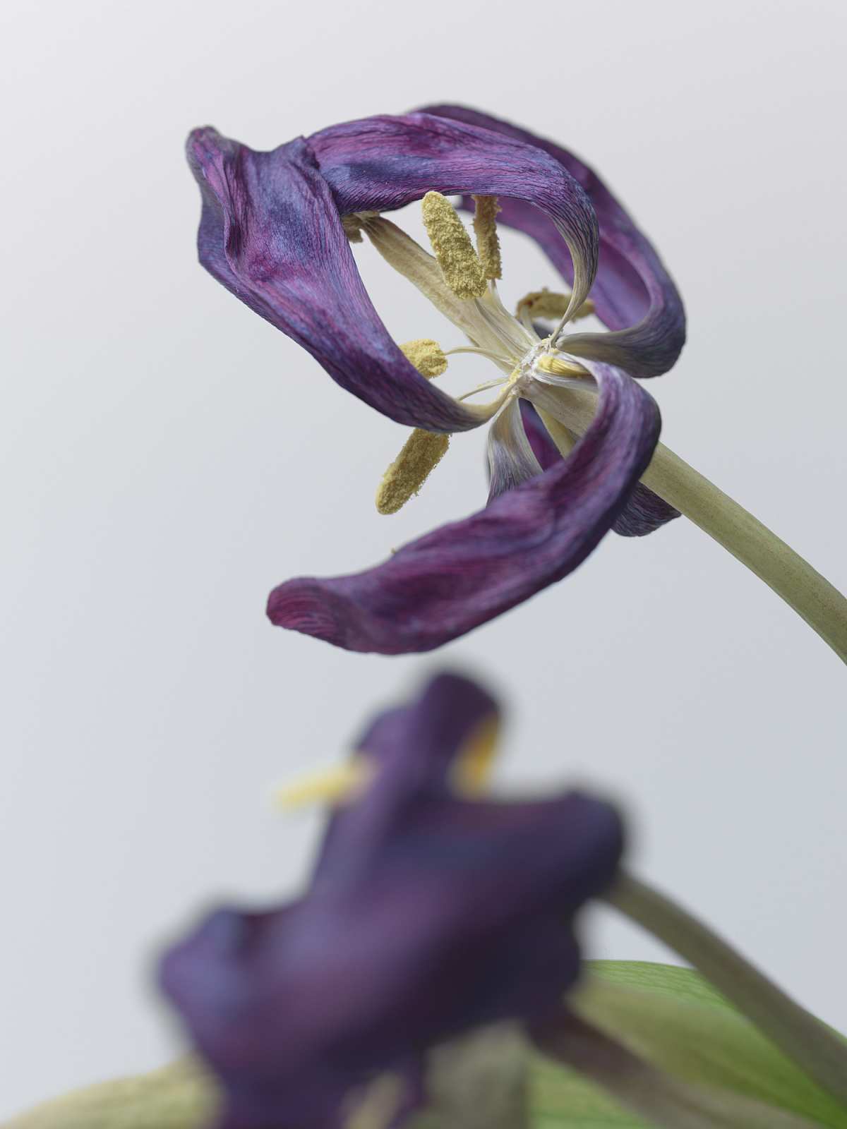 4-18-01393 Originele foto