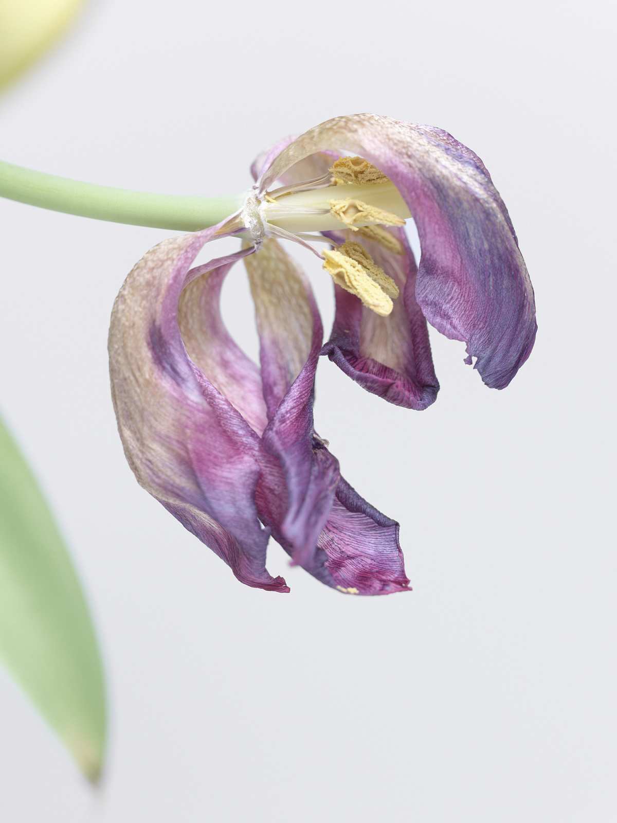 5-1-01507 Originele foto