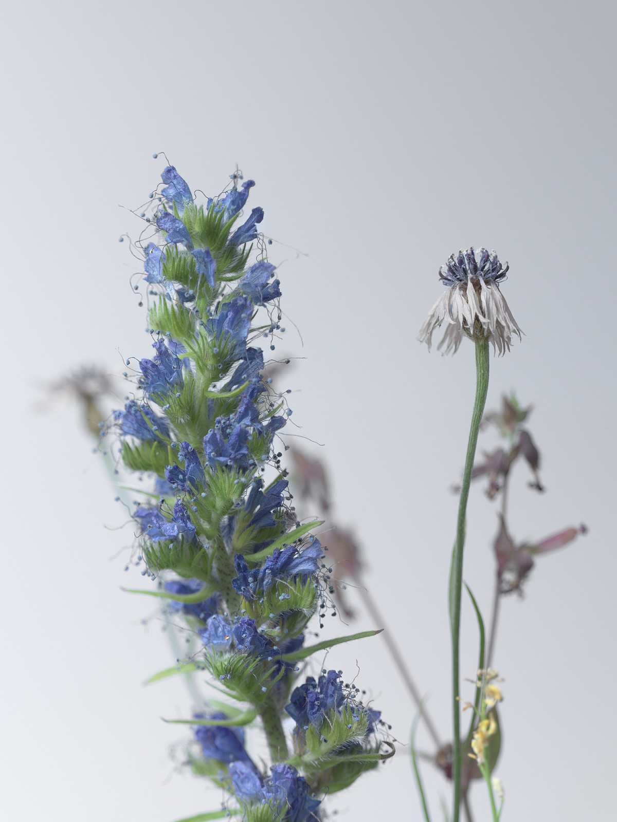 6-26-01739 Originele foto