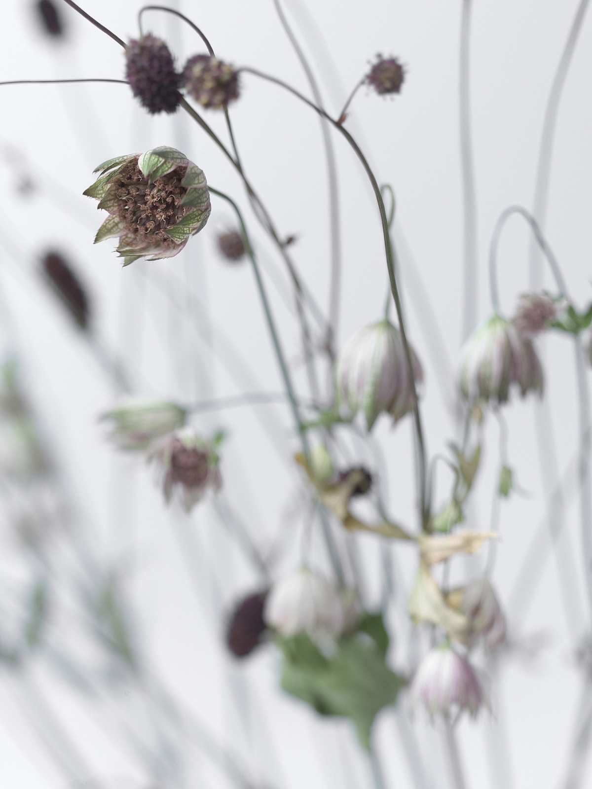 7-18-01894 Originele foto