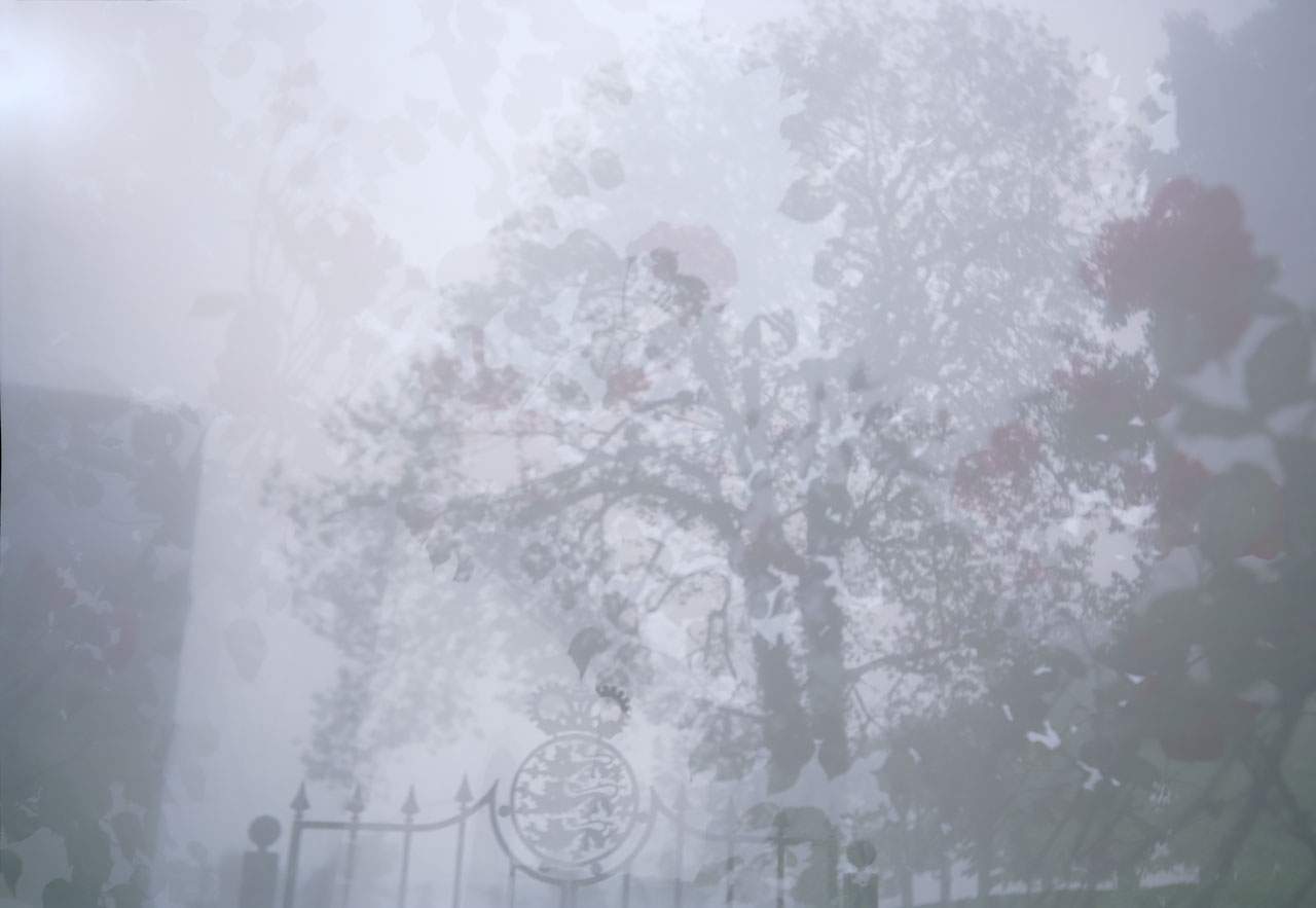 Rosegarden (originele scan)