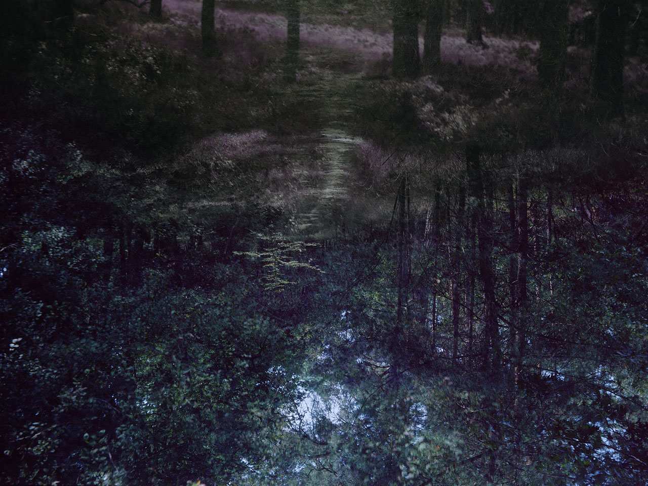 The crooked path (originele scan)