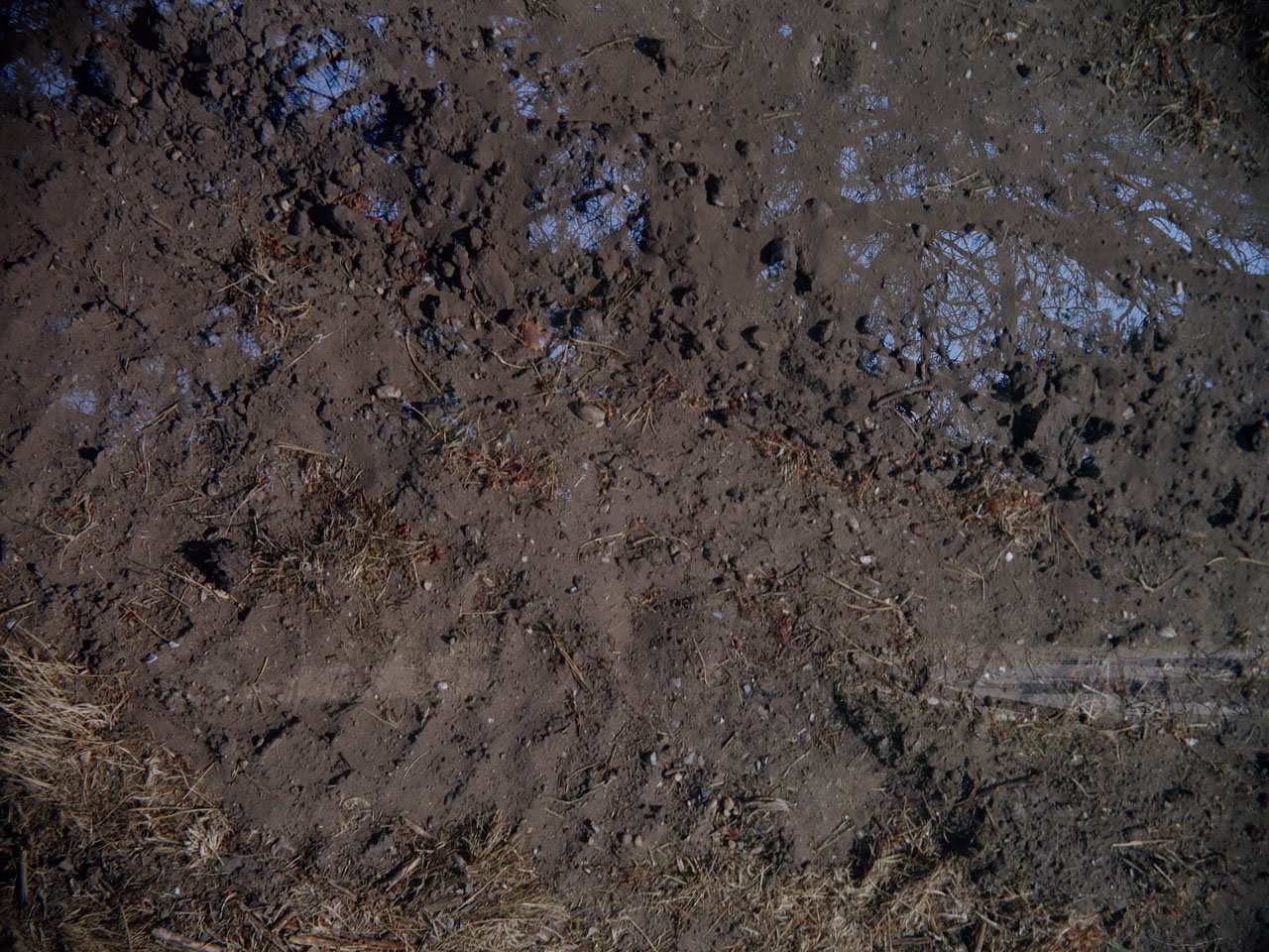 Underground II originele scan