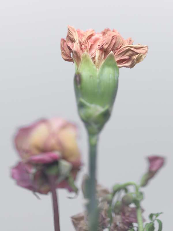 4-24-01415 Originele foto