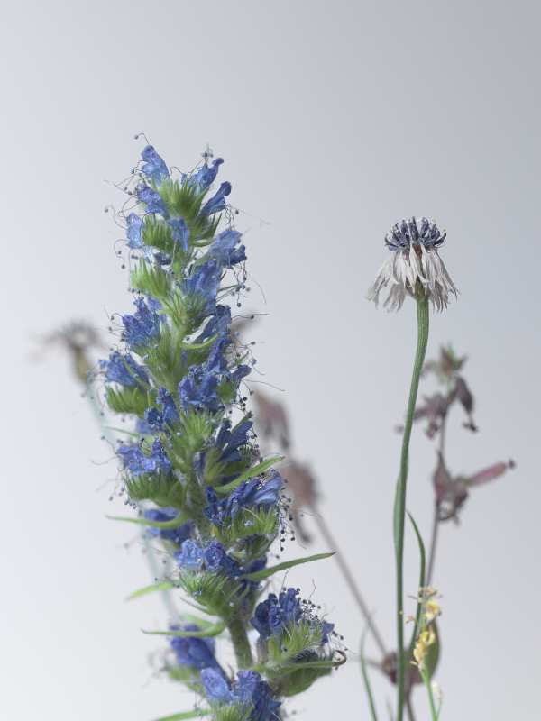 6-26-01739 Originele foto