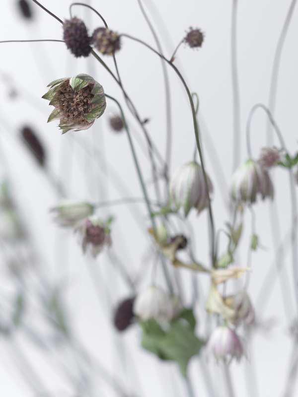 7-18-01894 Originele foto