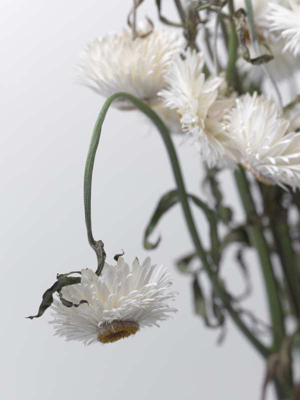 7-18-01905 Originele foto