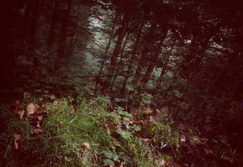 Autumn (originele scan)