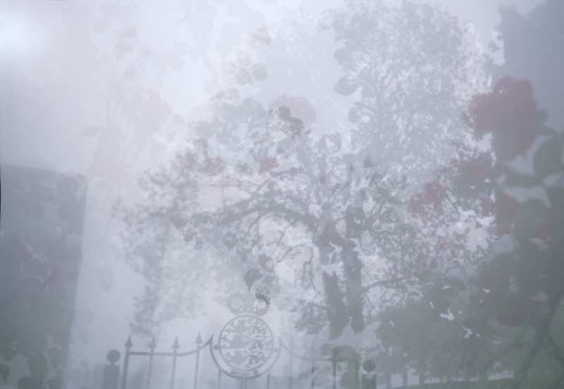 Rosegarden (originele scan)