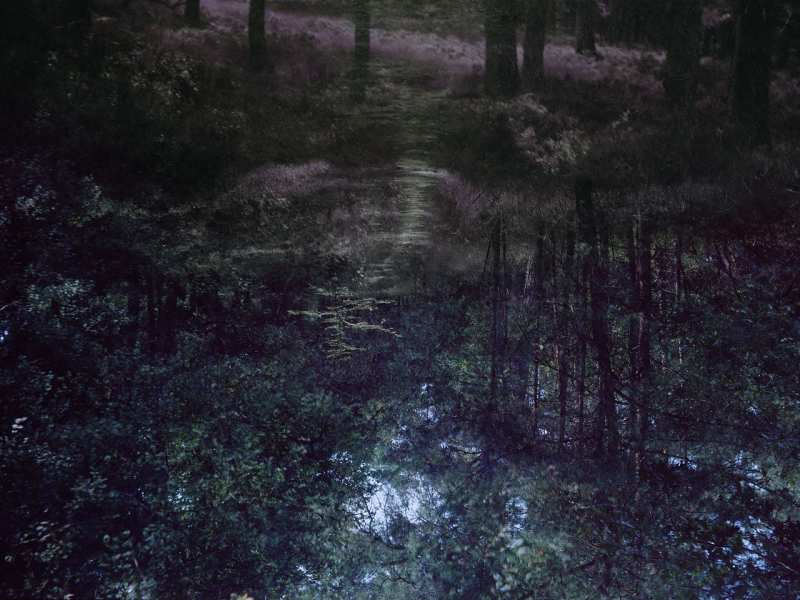 The crooked path (originele scan)