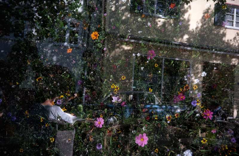 Ulis tattoo (originele scan)