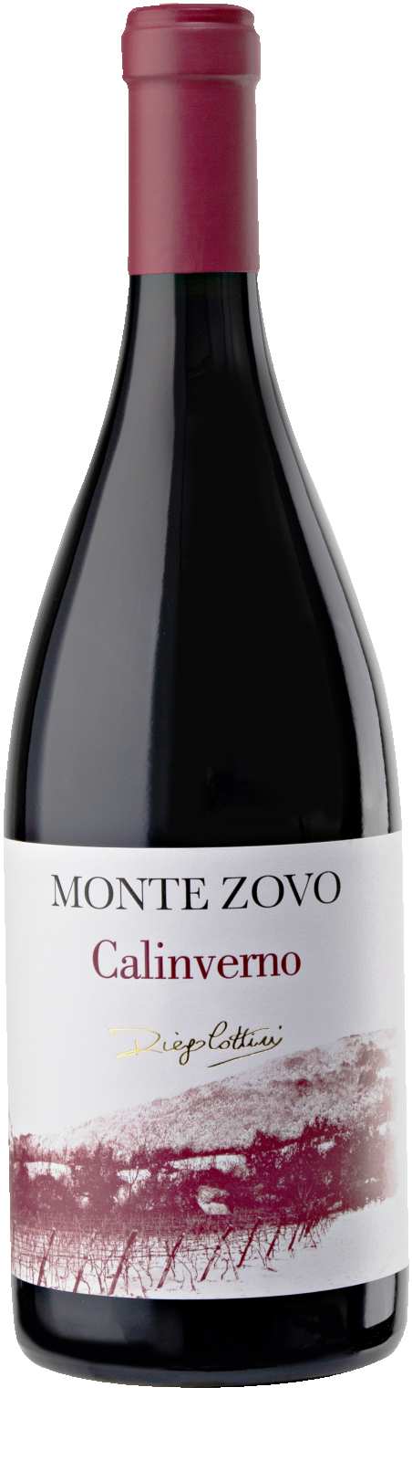 Productfoto Rosso Veronese 'Calinverno'