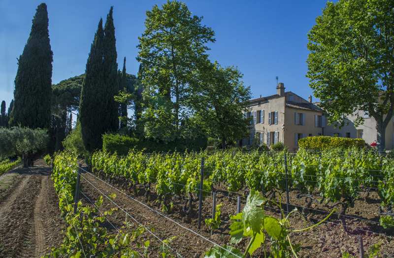 Foto wijnhuis Domaine Tempier Bandol