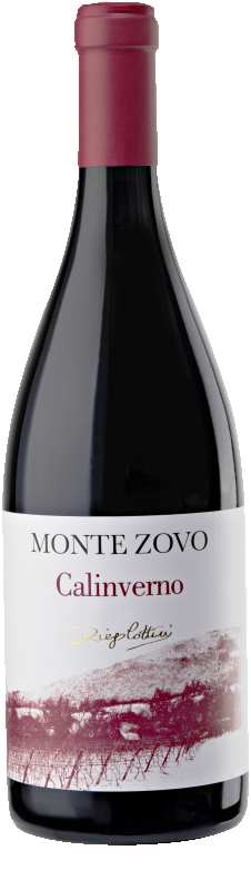 Productfoto Rosso Veronese 'Calinverno'