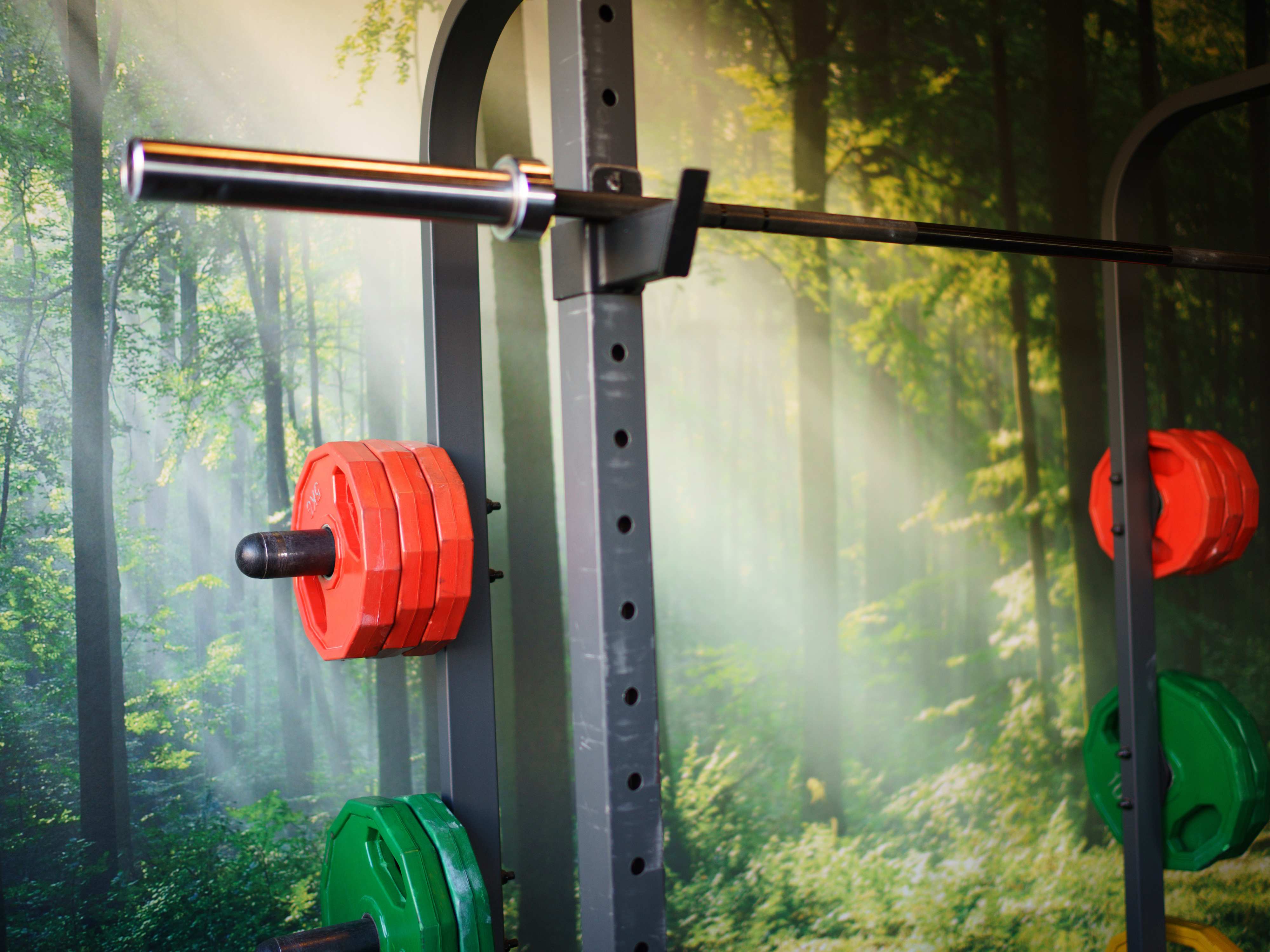 Foto Kleurige gewichten in de gym