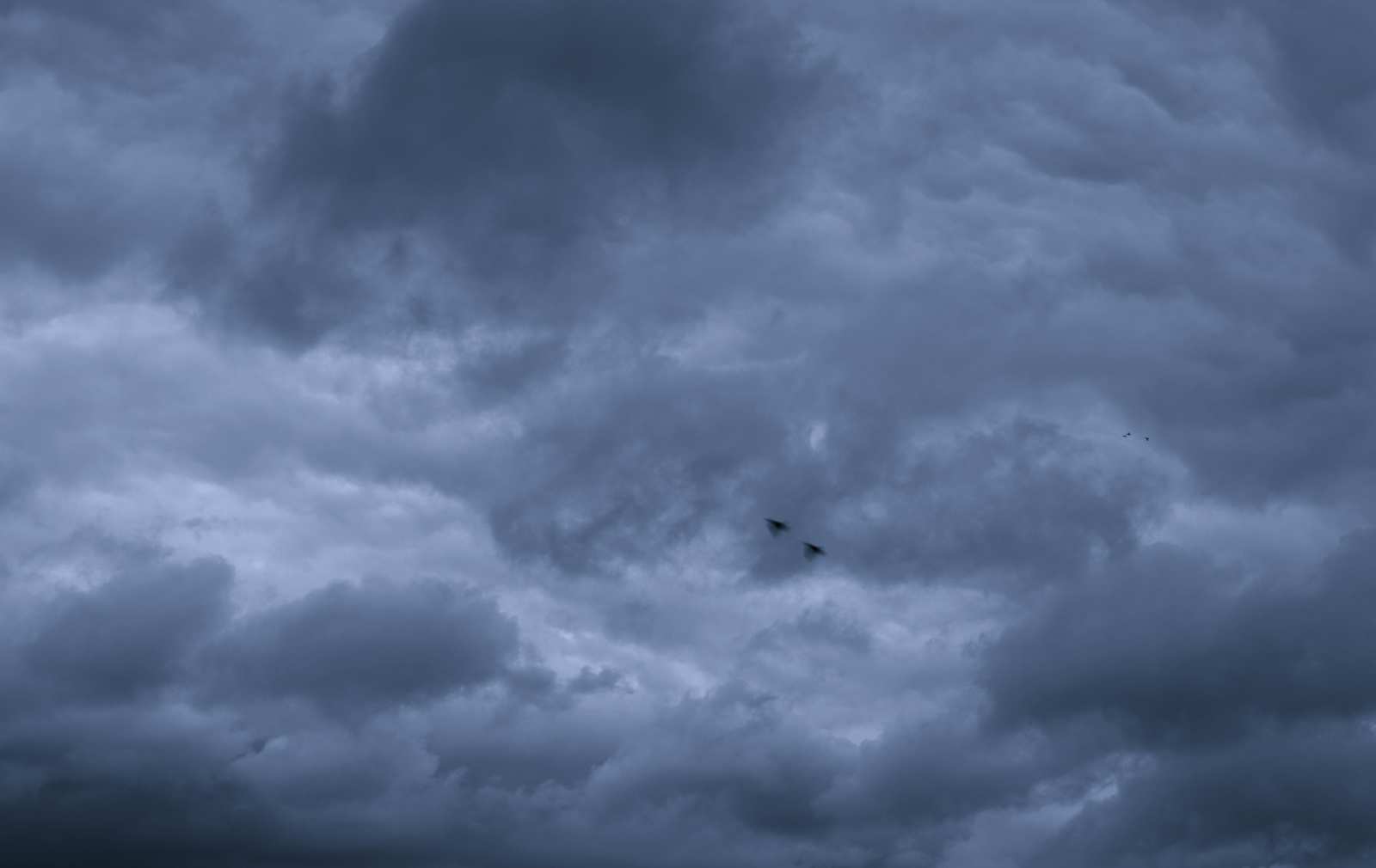Foto Wolken & vogels