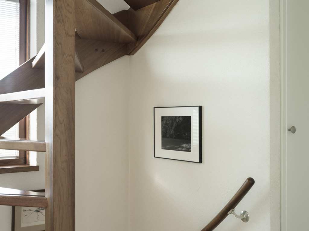 Foto Foto van park met boom in situ