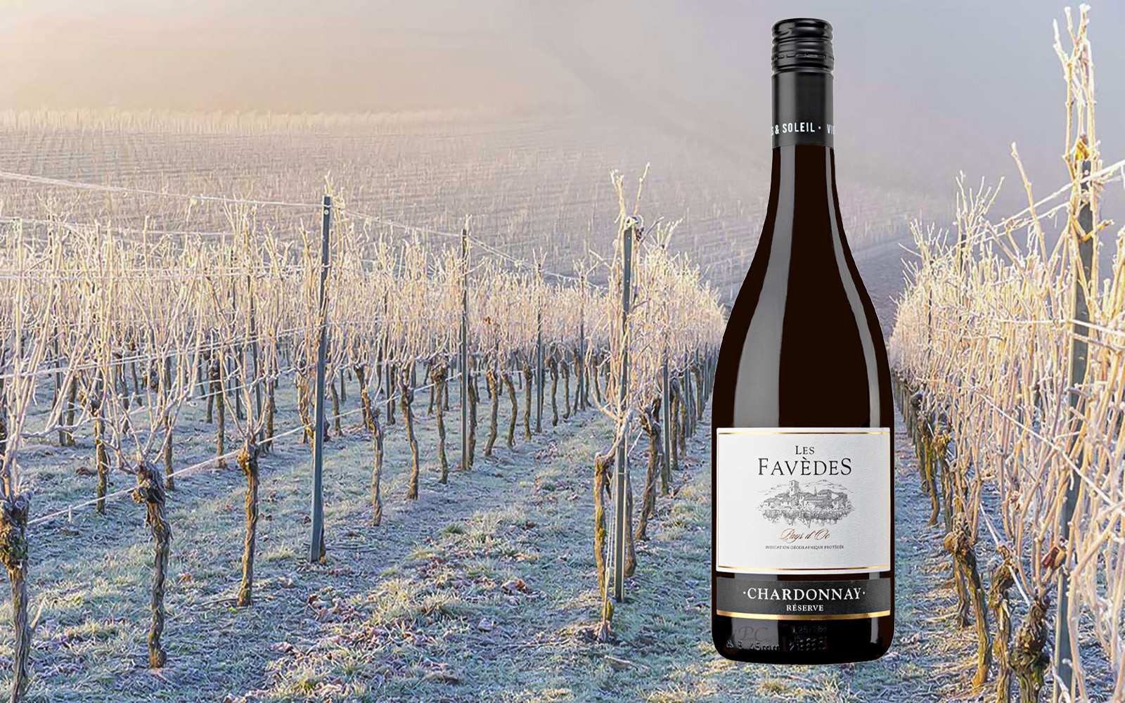 Banner witte wijn van de maand