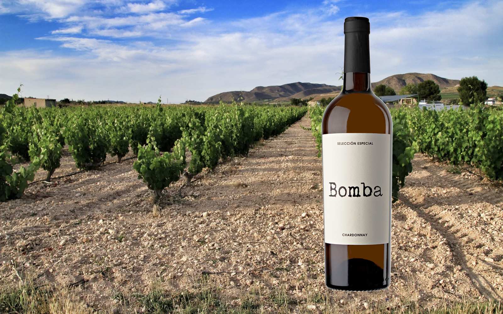 Banner witte wijn van de maand