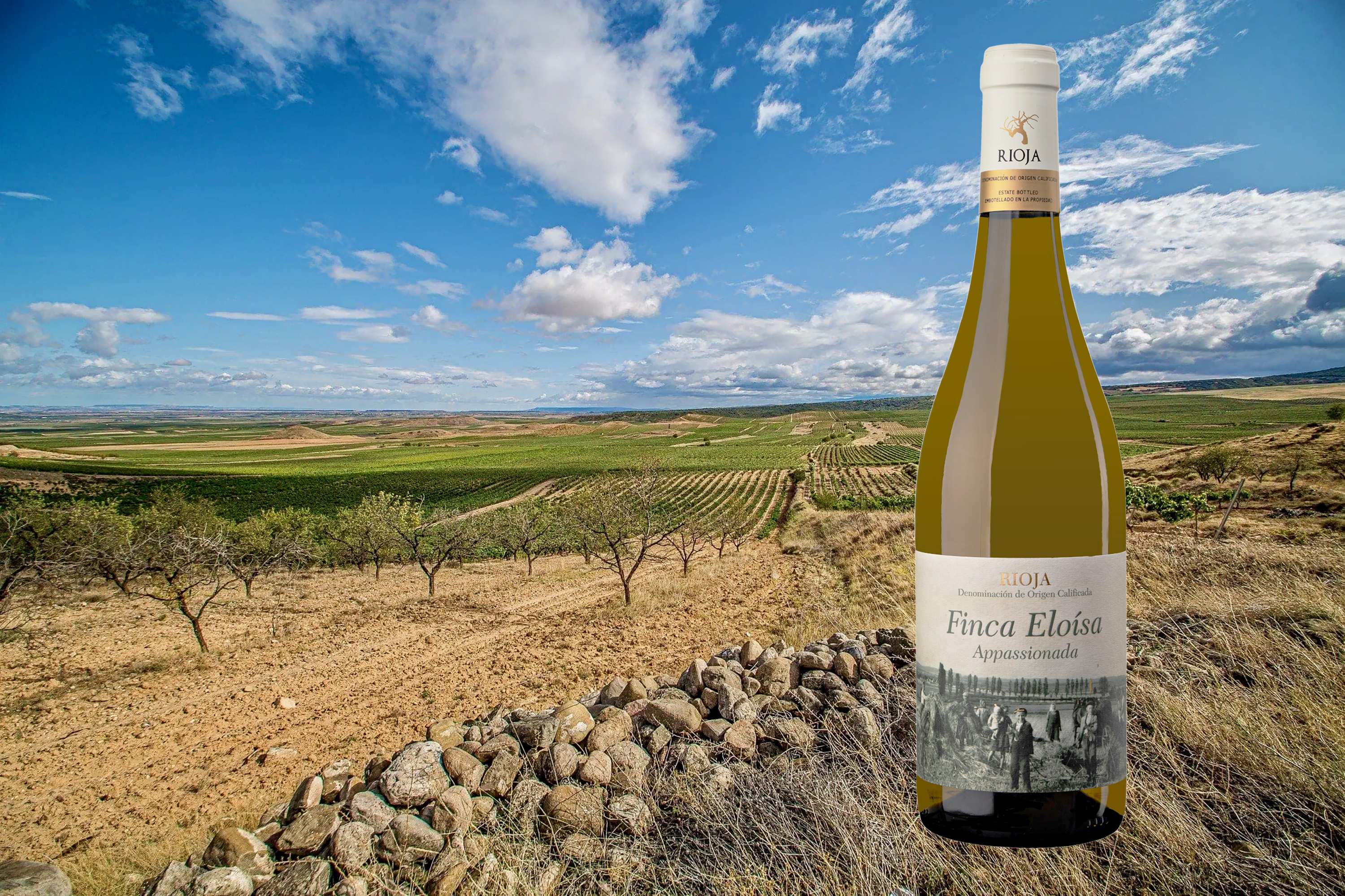 Banner witte wijn van de maand