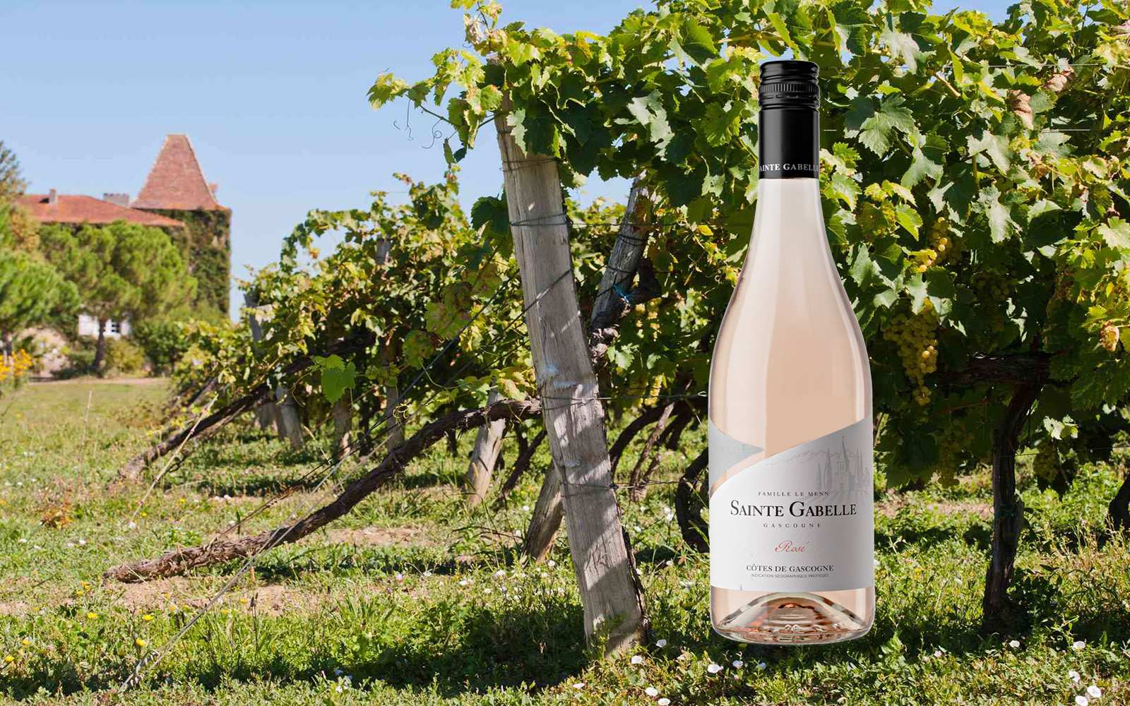 Banner rood van de maand