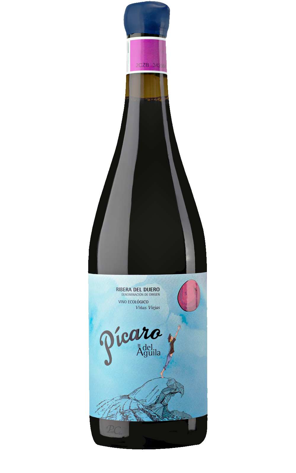 Dominio Pícaro del Águila Ribera del Duero Spain