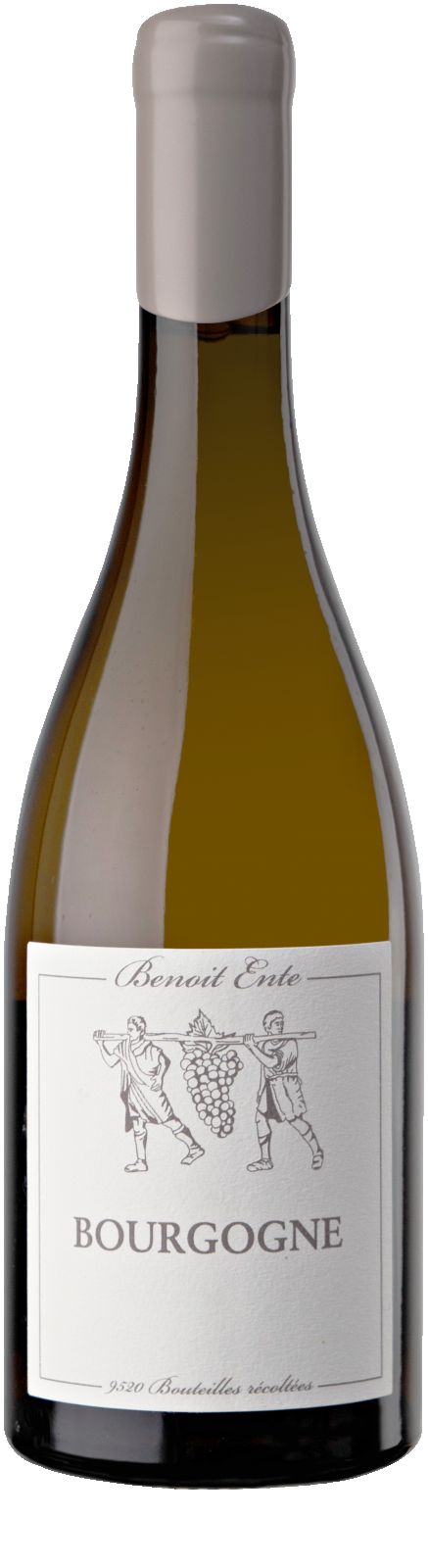 Bourgogne Blanc Chardonnay Ente Benoit Puligny-Montrachet Chassagne-Montrachet Frankrijk