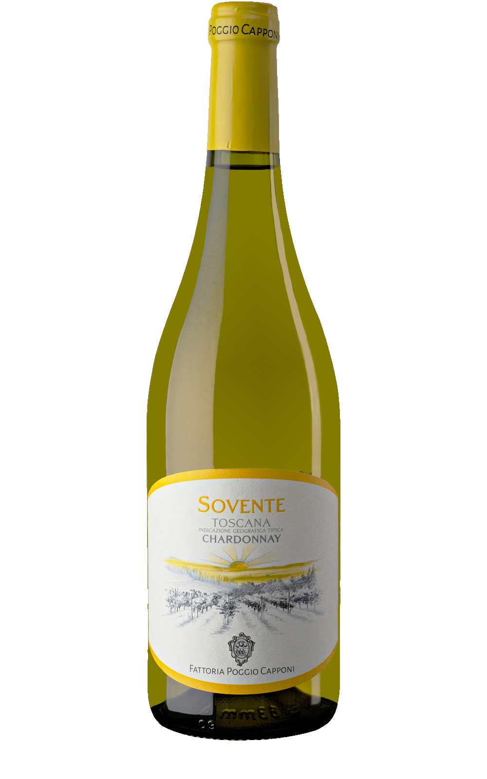 Capponi Sovente Chardonnay Toscane Florence Italy Chianti