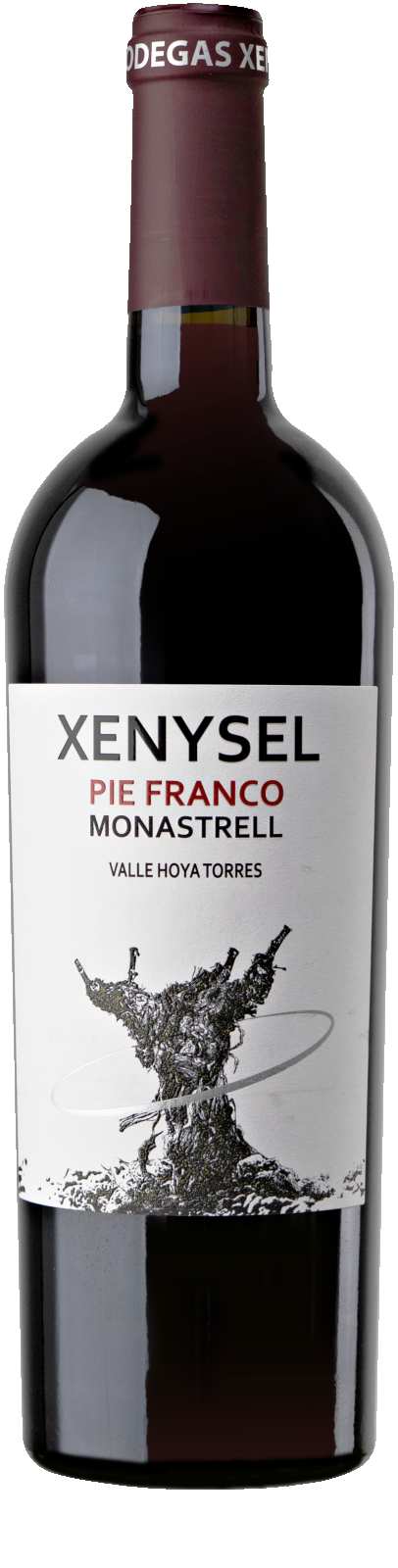 Productfoto Xenysel 'Pie Franco' Monastrell