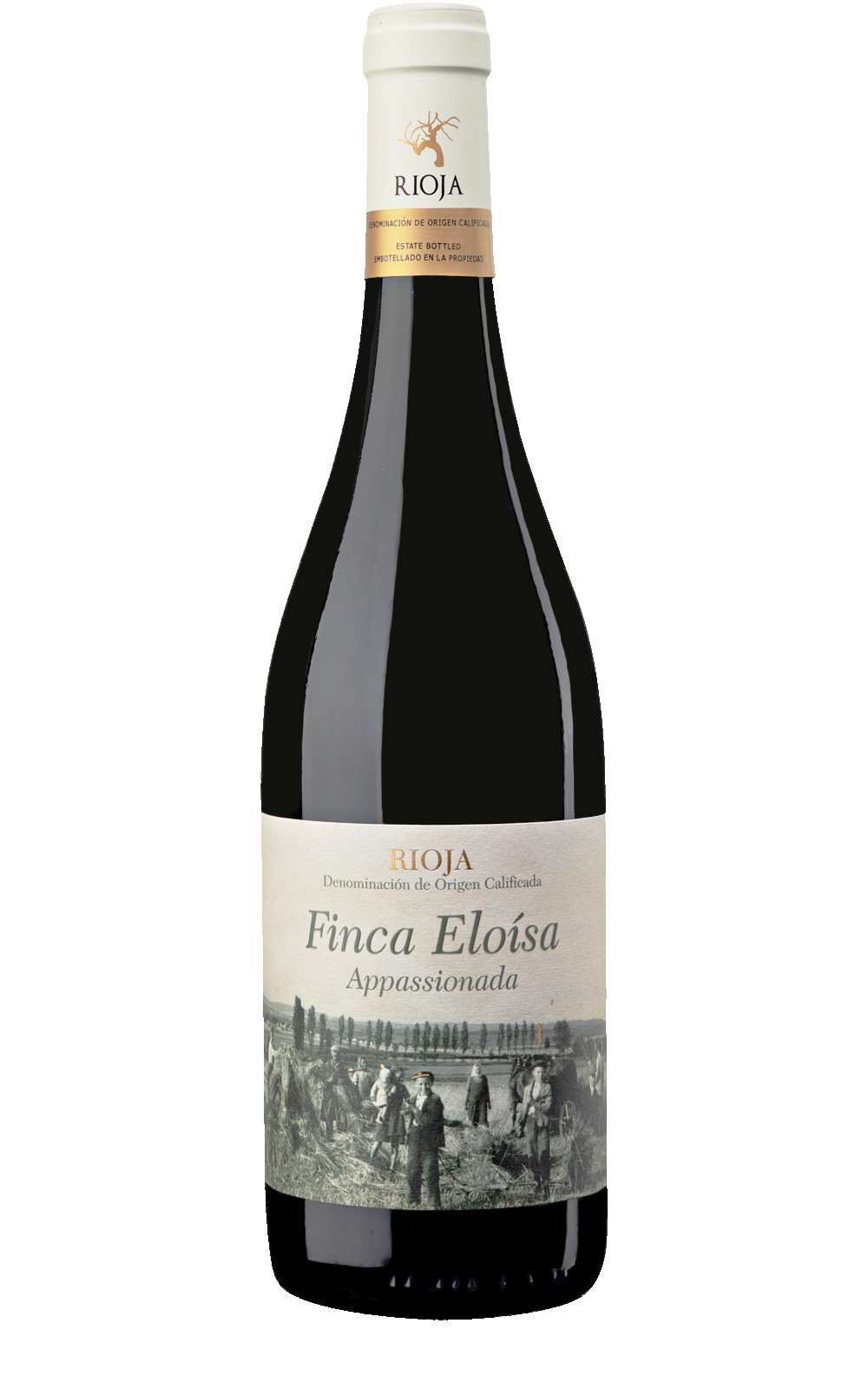 Finca Eloísa Appassionada rood Spanje Rioja