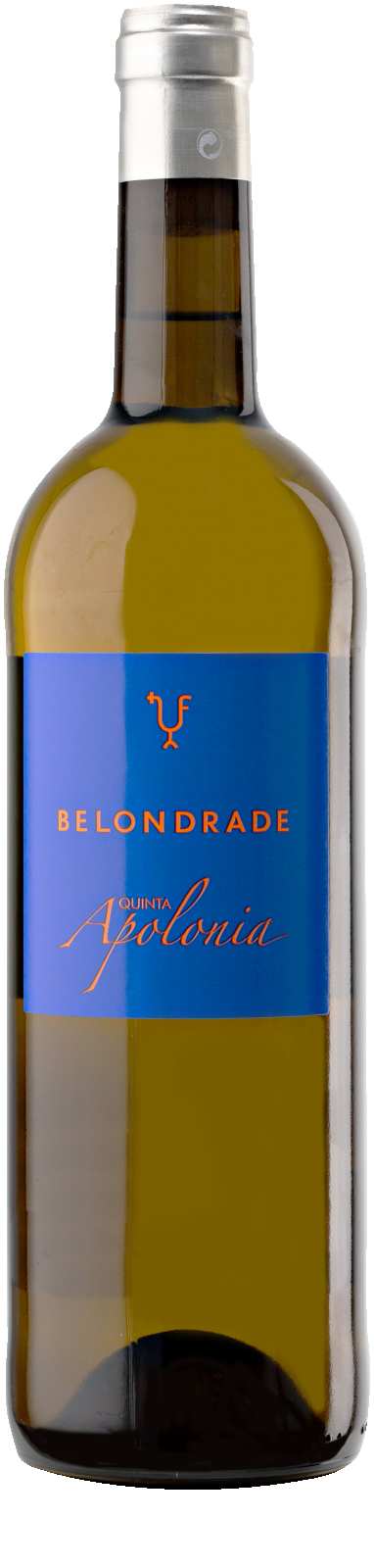 Didier Belondrade Quinta Apolonia Verdejo La Seca Spanje Rueda houtgerijpte witte wijn