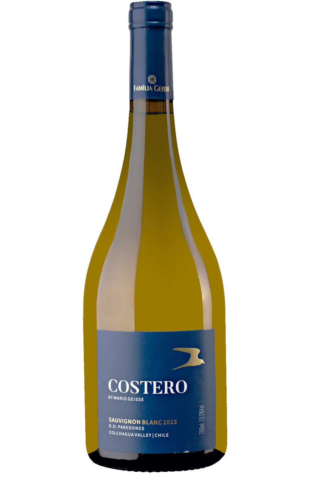 Sauvignon Blanc Costero Mario Geisse Chili Colchagua Valley