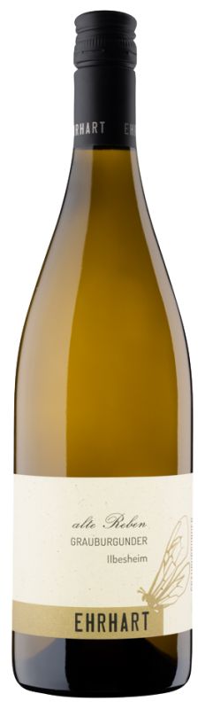Weingut Ehrhart Grauburgunder Alte Reben Ilbesheim Organic White Wine