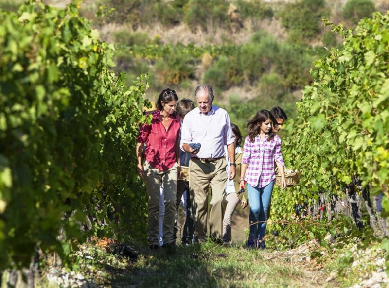 Marchesi Antinori Bramito Chardonnay Umbria Italy