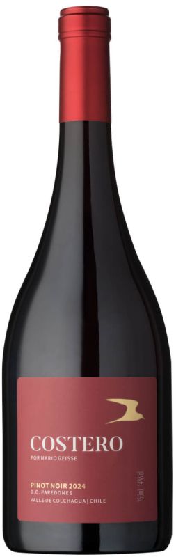Mario Geisse Costero Pinot Noir Colchagua Valley Paredones Chile