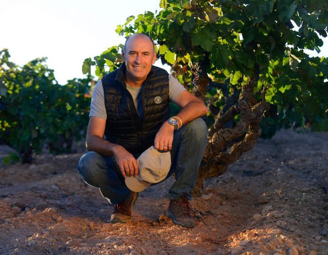 Valencia Bodega y Viñedos Mustiguillo Toni Sarrión