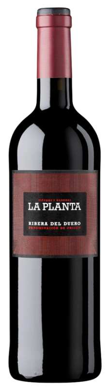 Bodegas Arzuaga La Planta Ribera del Duero Tempranillo Spain