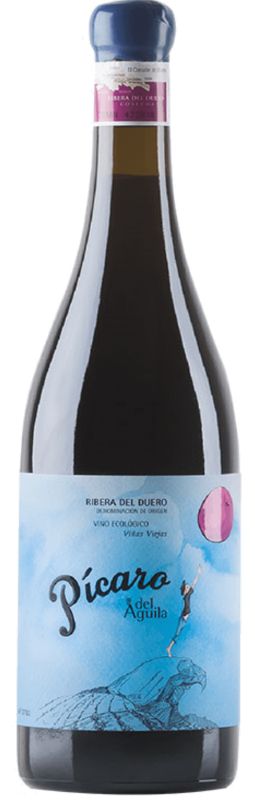 Dominio Pícaro del Águila Ribera del Duero Spain