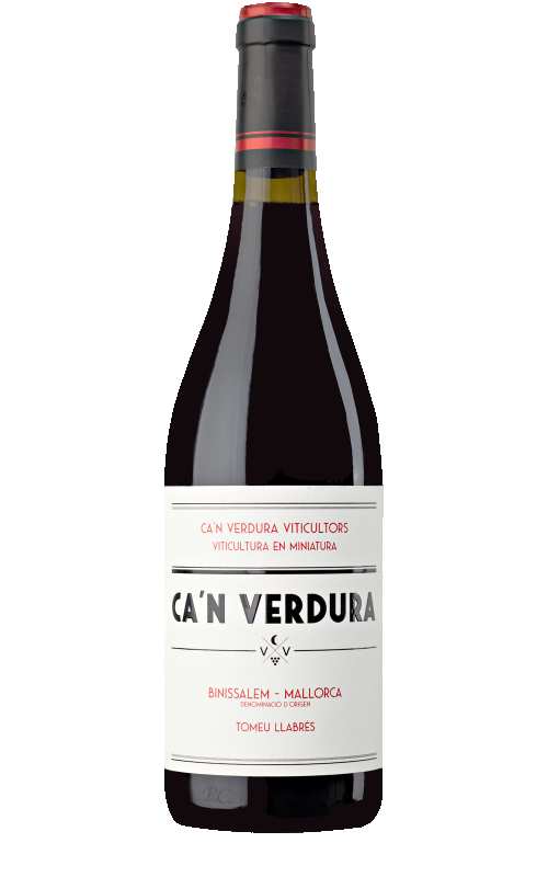 Binissalem Mallorca Ca’n Verdura Viticultors Negre Mantonegro Spain