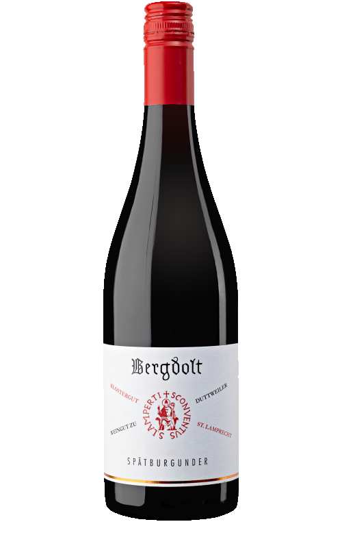 Weingut Bergdolt Spätburgunder Trocken Kalkmergel Pfalz Germany
