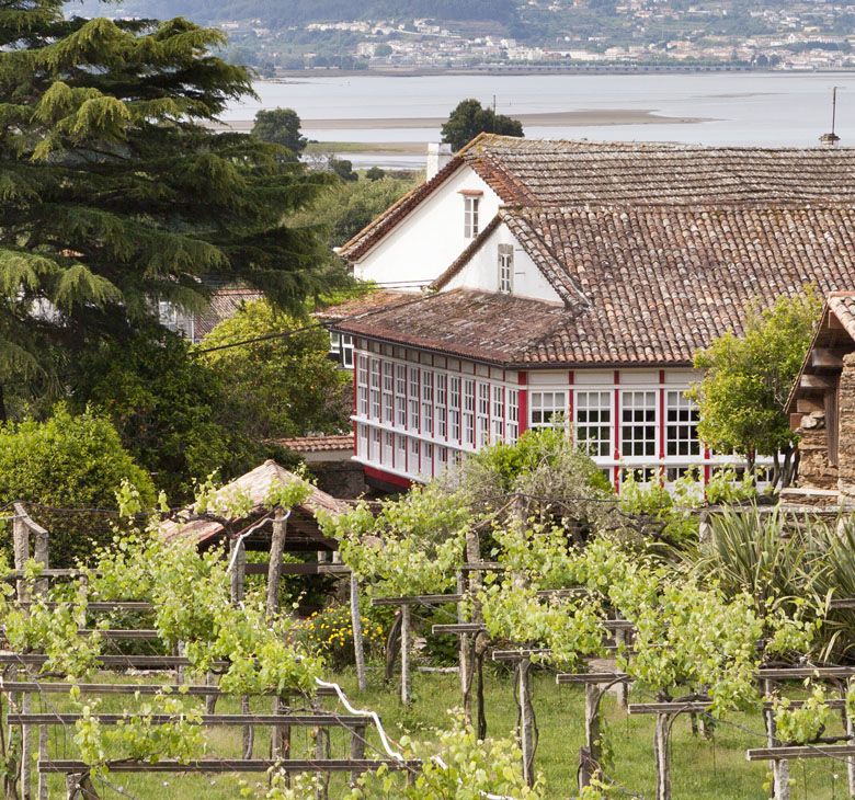 O Rosal Bodegas Santiago Ruiz Albariño Spain