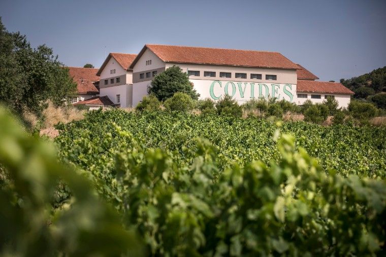 Penedes Cava Covides Vinyes Spain