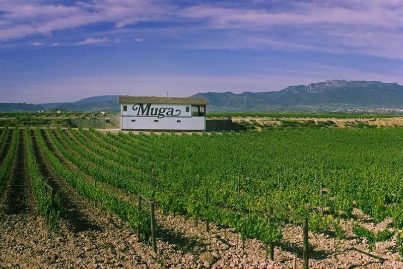 Rioja Alta Bodegas Muga Haro Spain