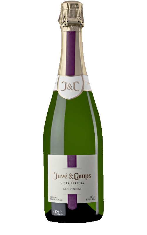 Cinta Púrpura Brut Reserva Juvé Camps Corpinnat Cava Spain