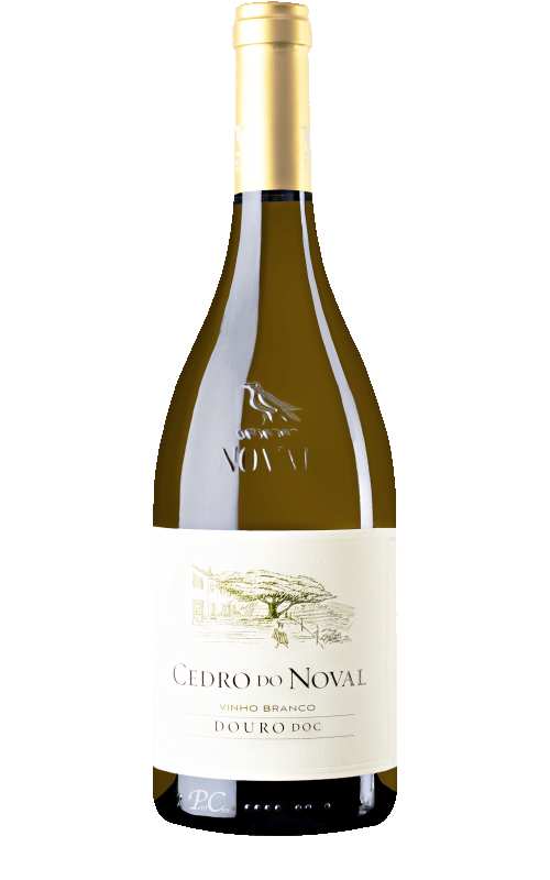 Quinta do Noval Cedro Branco Portugese white wine Douro