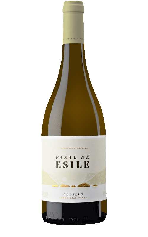 Bodegas Alinas Pasal de Esile Godello sobre lias finas Spain