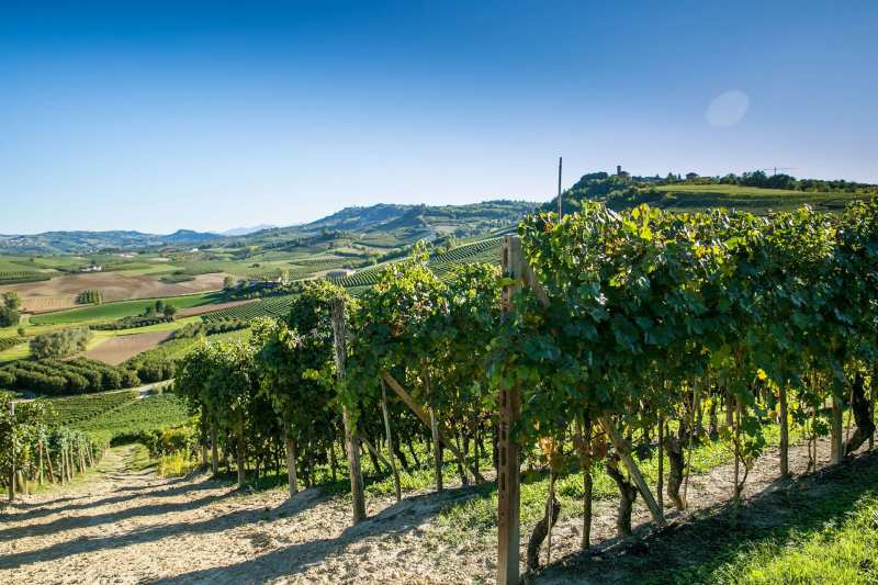 Bel Colle Piemonte Rosso Italy